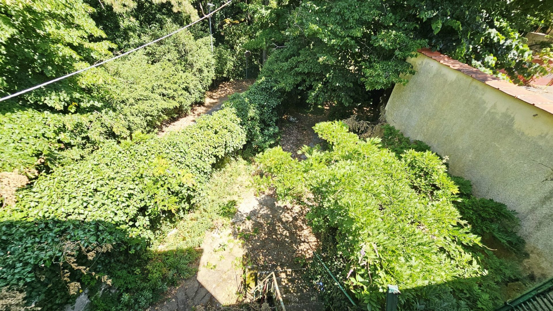 20250724_123011