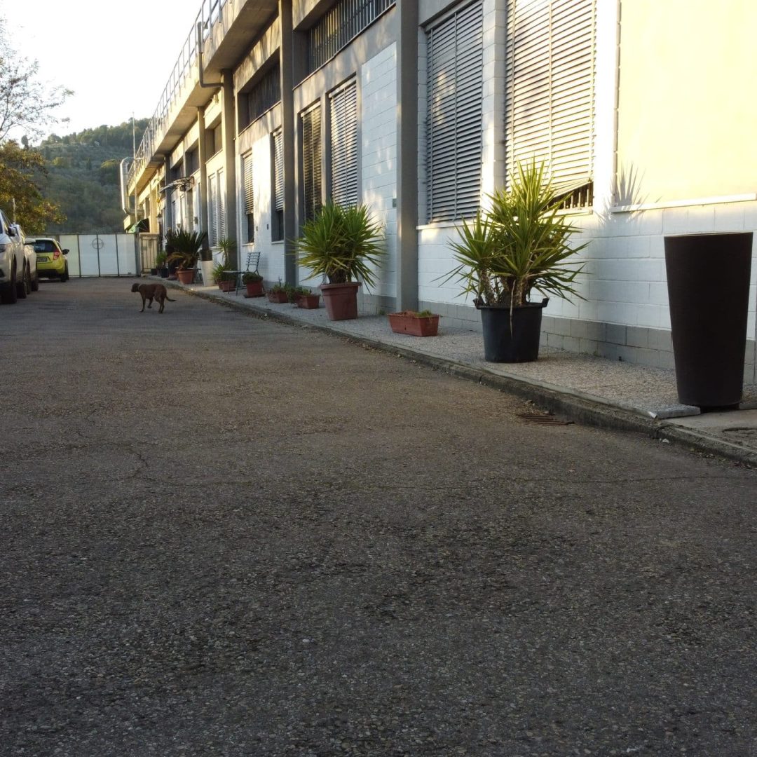 DCIM101MEDIADJI_0030.JPG
