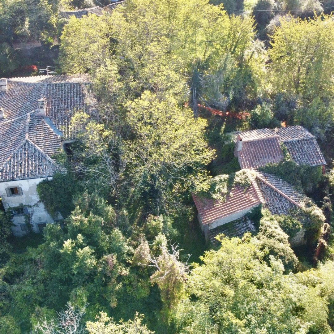 DCIM100MEDIADJI_0929.JPG