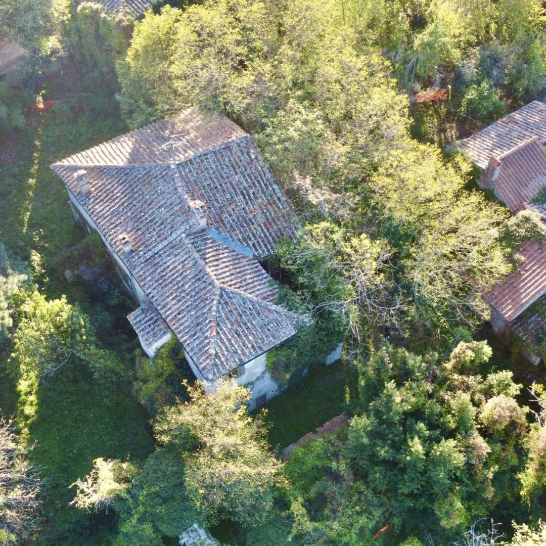 DCIM100MEDIADJI_0972.JPG