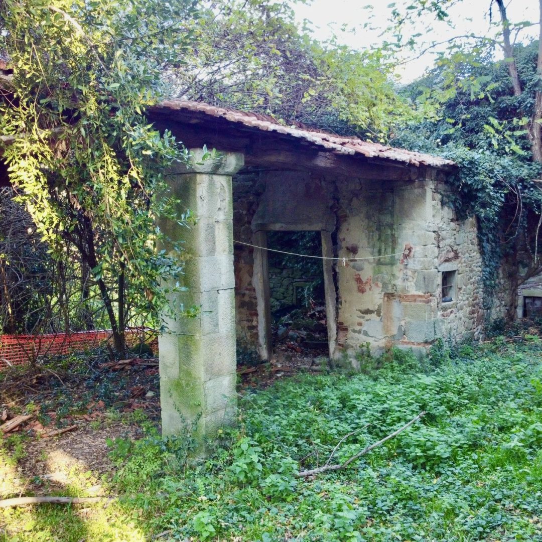 DCIM100MEDIADJI_0975.JPG