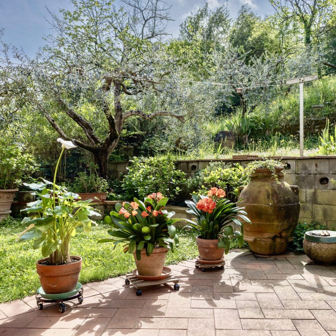 IMG_8081-HDR