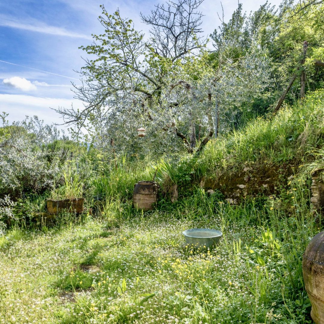 IMG_8131-HDR