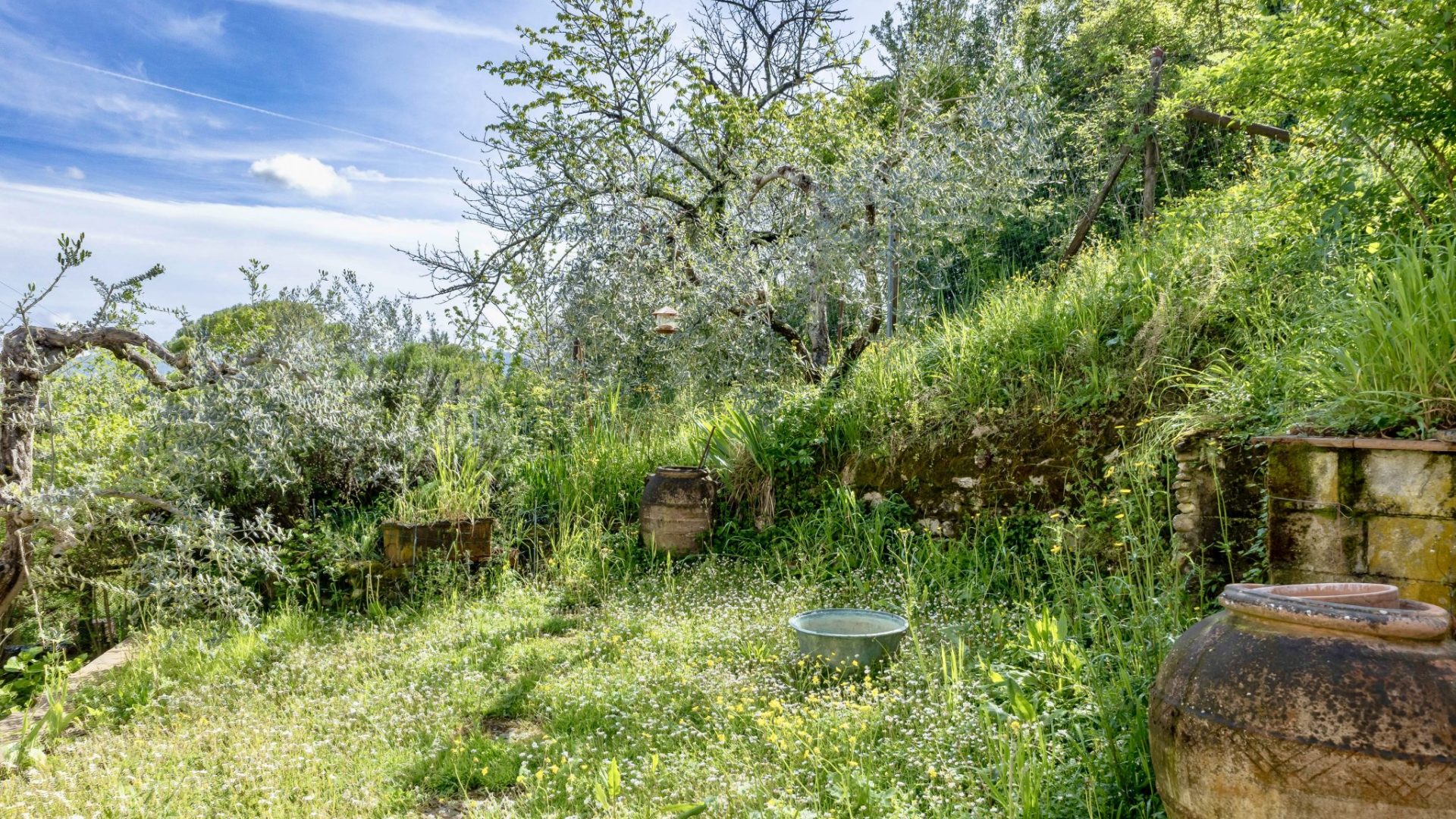 IMG_8131-HDR