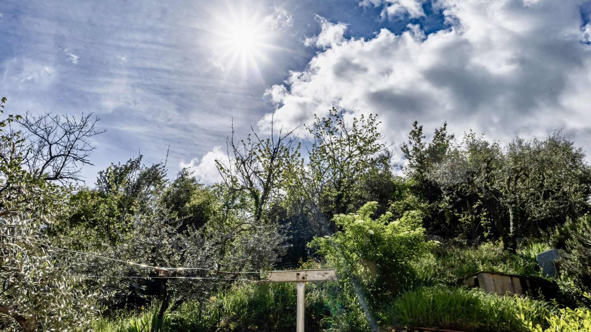 IMG_8153-HDR