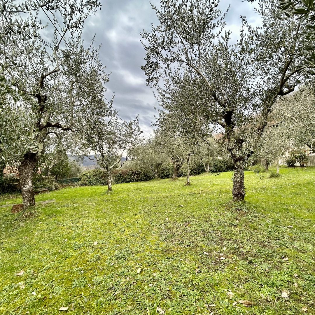 IMG_8524